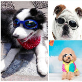 Eye Protection Goggles For Dog Dog Carrier & Travel Pet Clever 