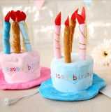 Fashion 3D Birthday Cake with Candles Pet Hat Hats Pet Clever 