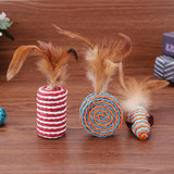 Feather Design Cat Teasing Toy Cat Toys Pet Clever 