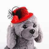 Feather Prince Style Hat For Pets Hats Pet Clever 