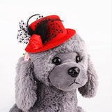 Feather Prince Style Hat For Pets Hats Pet Clever Red 