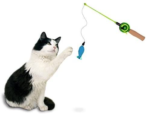 Fishing Rod Interactive Wand Cat Toy