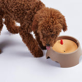 Floating Pet Bowl Splash Proof Drinking Bowl Dog Bowls & Feeders Pet Clever 
