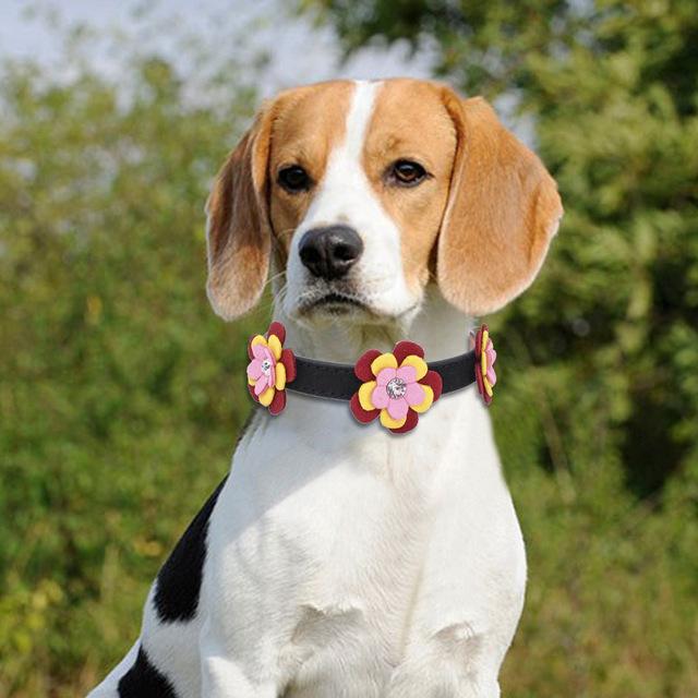 Floral Pet Artist Collar Artist Collars & Harnesses Pet Clever Black XS 