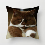 Funny Cat Designs Cushion Cover Cat Design Pillows Pet Clever L 