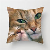 Funny Cat Designs Cushion Cover Cat Design Pillows Pet Clever R 