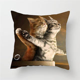 Funny Cat Designs Cushion Cover Cat Design Pillows Pet Clever 