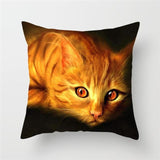 Funny Cat Designs Cushion Cover Cat Design Pillows Pet Clever A 
