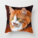 Funny Cat Designs Cushion Cover Cat Design Pillows Pet Clever B 