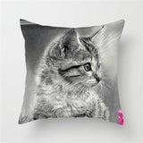 Funny Cat Designs Cushion Cover Cat Design Pillows Pet Clever E 