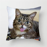 Funny Cat Designs Cushion Cover Cat Design Pillows Pet Clever C 
