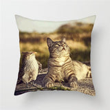 Funny Cat Designs Cushion Cover Cat Design Pillows Pet Clever 