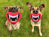 Dog Toys & Puppy Chew Toys