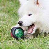 Glowing Bite Ball Pet Toys Toys Pet Clever 
