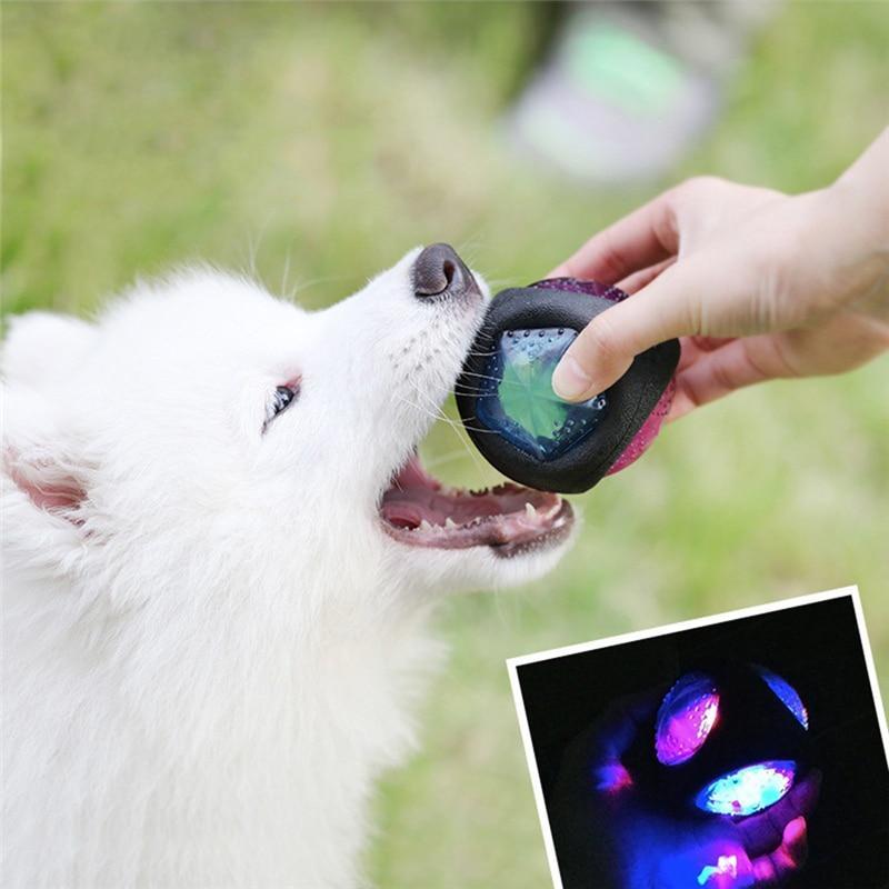 Glowing Bite Ball Pet Toys Toys Pet Clever 