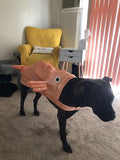 Gold Fish Dog Costume Dog Clothing Pet Clever 