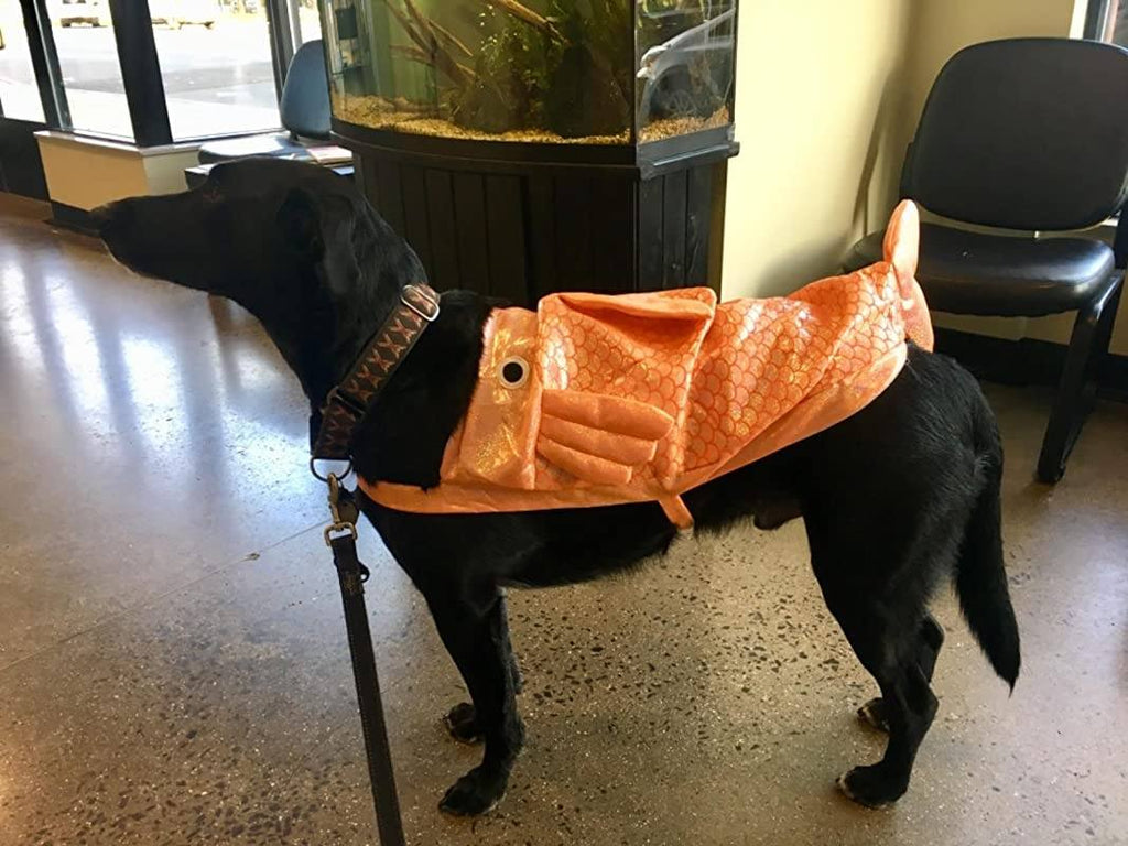 Gold Fish Dog Costume Pet Clever