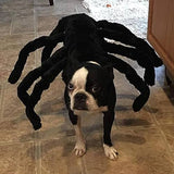 Halloween Pet Dog Spider Costume Dog Clothing Pet Clever 