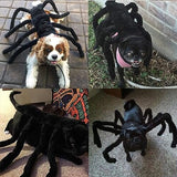 Halloween Pet Dog Spider Costume Dog Clothing Pet Clever 