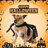 Halloween Pet Dog Spider Costume Dog Clothing Pet Clever 