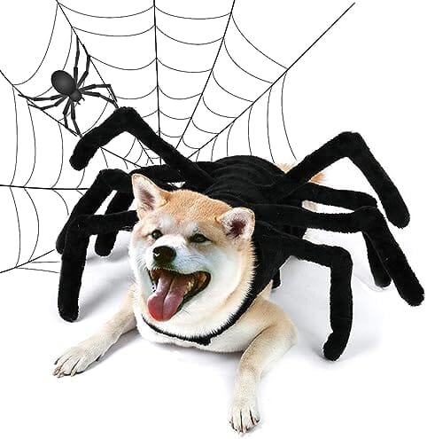 Halloween Spider Costume for Dog Cats Dog Clothing Pet Clever Medium 