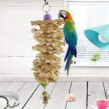 Hanging Swing Climb Chew Toy Bird Toys Pet Clever 