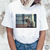 Hilarious French Bulldog Print T-shirt Dog Design T-Shirts Pet Clever 11 S 