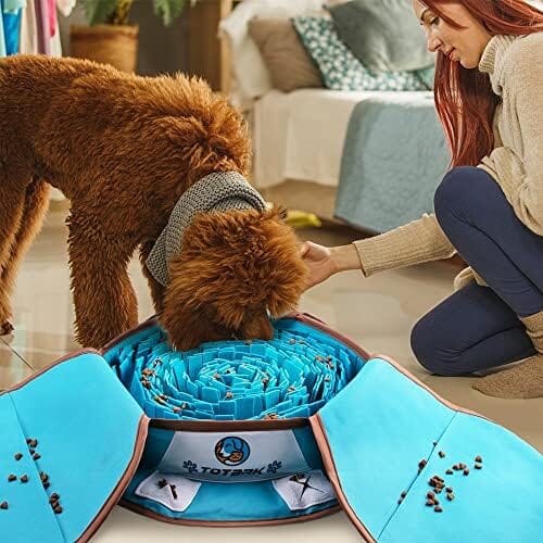 Interactive Dog Enrichment Games for Boredom Encourage Natural Foragin ...