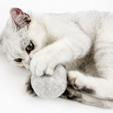 Interactive Funny Cat Ball Teaser Cat Pet Clever 