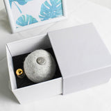 Interactive Funny Cat Ball Teaser Cat Pet Clever 