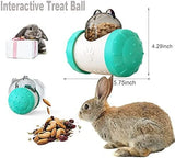 Interactive Treat Ball for Rabbits Hamster Pet Clever 