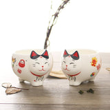 Japanese Lucky Cat Tea Set Cat Design Accessories Pet Clever 