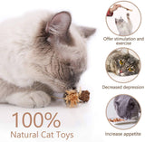 Kitten Teething Chew Toy for Aggressive chewers Cat Toys Pet Clever 