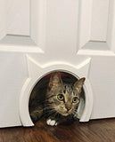 Kitty Door Pass Cat Pet Clever 