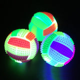 LED Color Changing Dog Squeak Ball Toys Pet Clever 