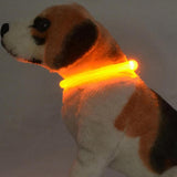LED Dog Collar Dog Leads & Collars Pet Clever 