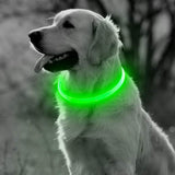 LED Dog Collar Dog Leads & Collars Pet Clever 