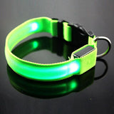 LED Light-up Flashing Glow In The Dark Collar Dog Leads & Collars Pet Clever XS Green 