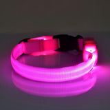 LED Light-up Flashing Glow In The Dark Collar Dog Leads & Collars Pet Clever XS Pink 