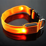 LED Light-up Flashing Glow In The Dark Collar Dog Leads & Collars Pet Clever XS Orange (Gold) 