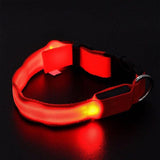 LED Light-up Flashing Glow In The Dark Collar Dog Leads & Collars Pet Clever XS Red 