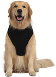Love Rescued Me Hoodie Dog Clothing Pet Clever 