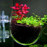 Mini Crystal Glass Fish Tank Fish Tank Pet Clever 
