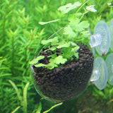 Mini Crystal Glass Fish Tank Fish Tank Pet Clever 