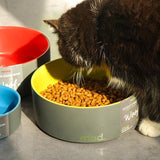 Minimalist Pet Feeding Bowl Cat Bowls & Fountains Pet Clever 