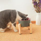 Minimalist Pet Feeding Bowl Cat Bowls & Fountains Pet Clever 