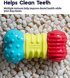 Multi-Squeak Bone Dog Chew Toy, Multicolor Dog Toys Pet Clever 