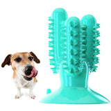 Multiple Dog Chewing Toys Toothbrush Medical Pet Clever 