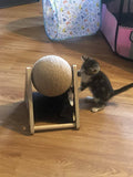 Natural Sisal Cat Scratching Ball Cat Beds & Baskets Pet Clever 