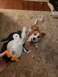Penguin Ultrasonic, Soft Plush, Chew Resistant Dog Toys Pet Clever 